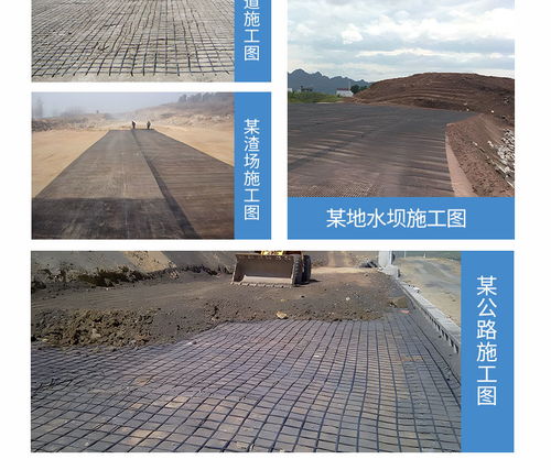 攀枝花鋼塑土工格柵耐風化 路橋聚丙烯土工格柵行業(yè)品牌