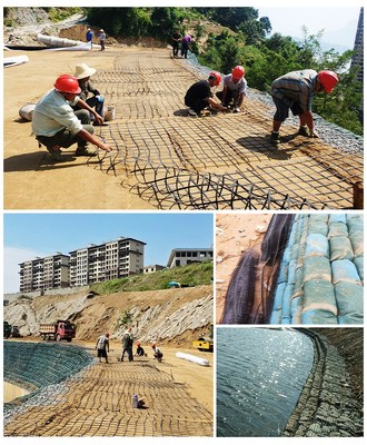 水穩層用修路工程用鋼塑土工格柵80-80kn