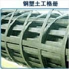 嶺東區(qū) 鋼塑土工格柵 13854888359_建筑建材_世界工廠網(wǎng)