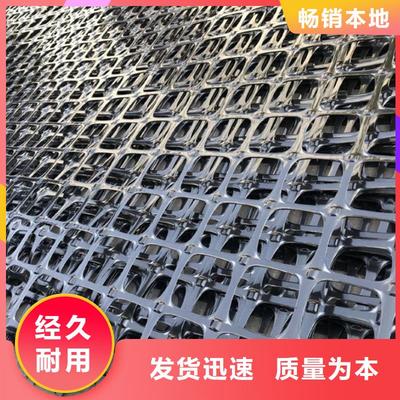 鋼塑土工格柵