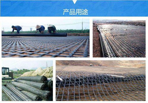 歡迎 云南土工格柵廠家直銷 批發(fā)價(jià)價(jià)格