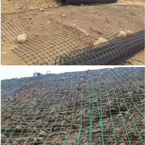 鋼塑土工格柵 天津地區的卓越工程材料